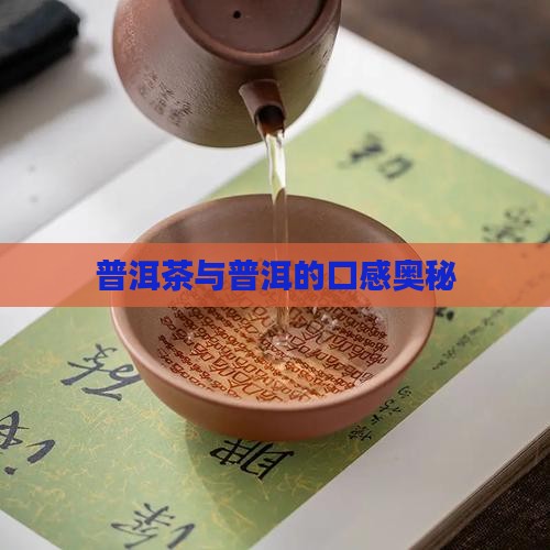 普洱茶为什么有好的口感