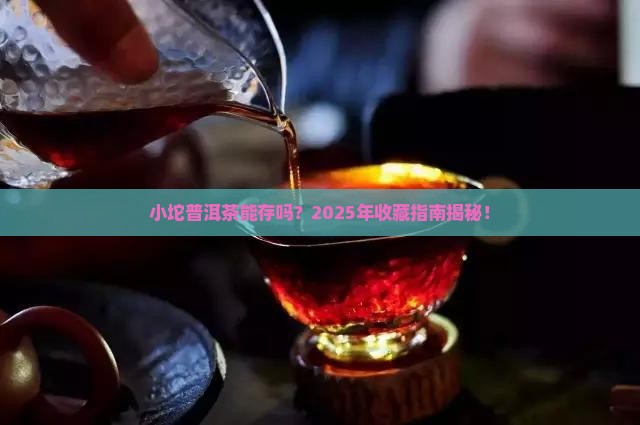小坨普洱茶能存放吗
