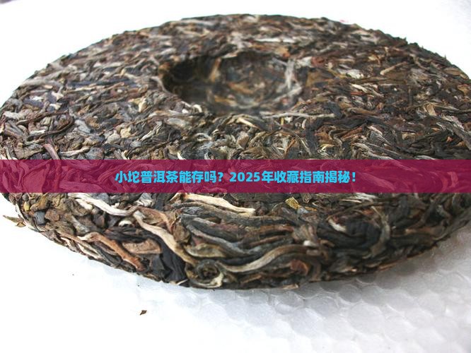 小坨普洱茶能存放吗