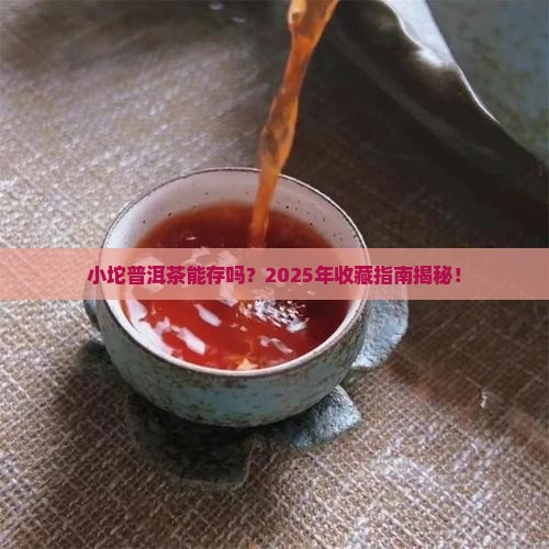 小坨普洱茶能存放吗