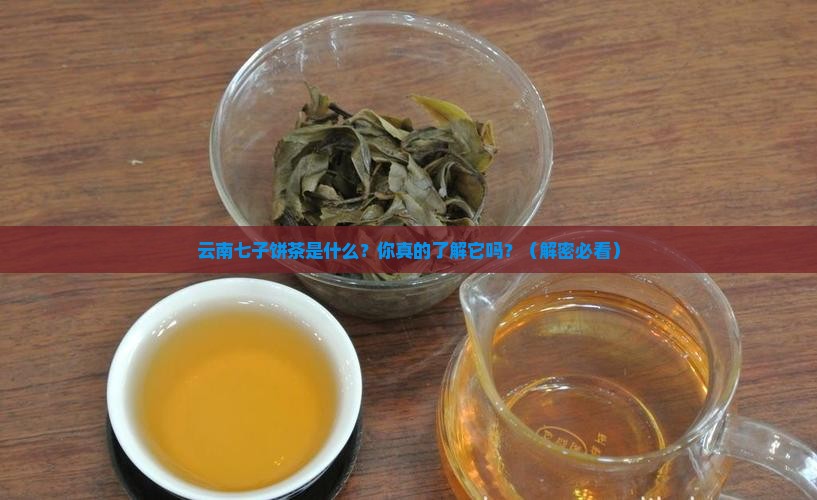 云南七子饼茶是什么意思