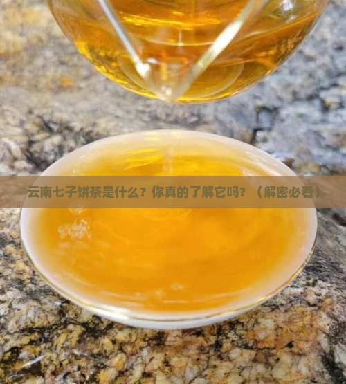 云南七子饼茶是什么意思