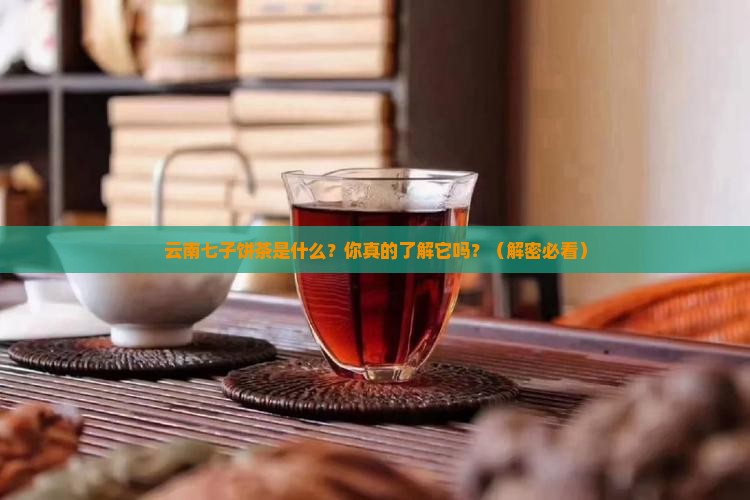云南七子饼茶是什么意思