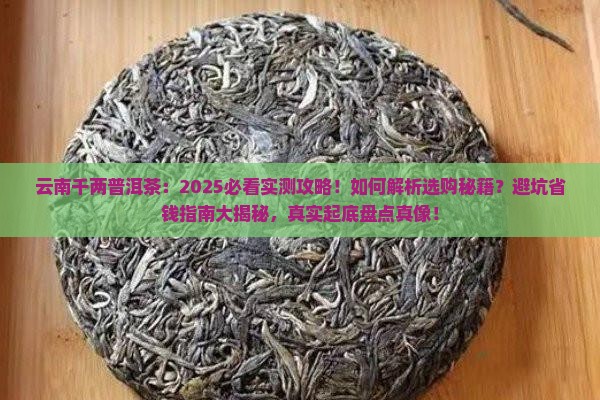 云南千两普洱茶