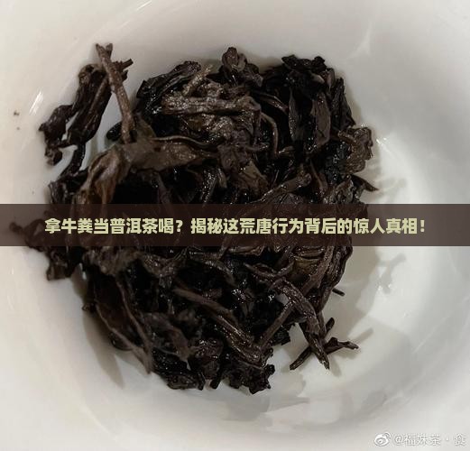 拿牛粪当普洱茶喝