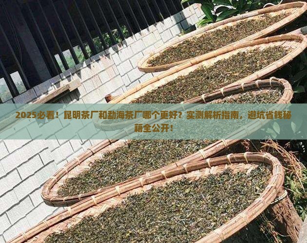 昆明茶厂和勐海茶厂哪个好