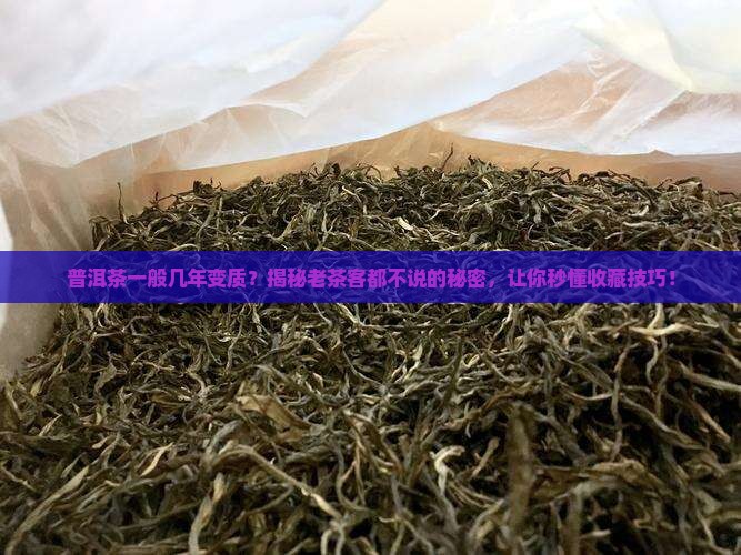 普洱茶一般几年变质