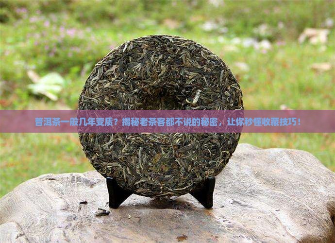 普洱茶一般几年变质