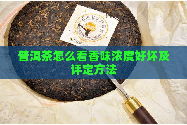 普洱茶怎么看香味浓度好坏