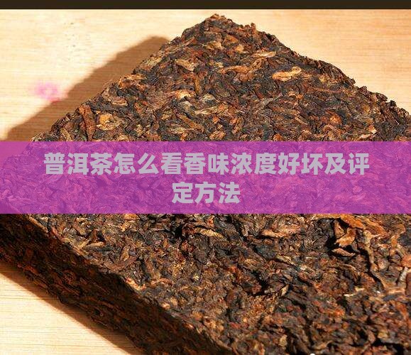 普洱茶怎么看香味浓度好坏
