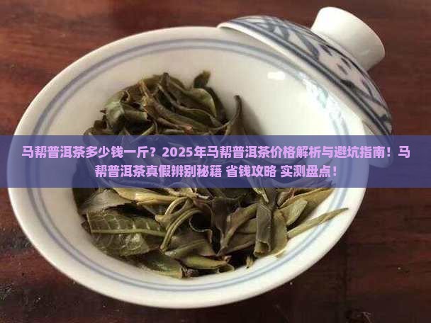马帮普洱茶多少钱一斤