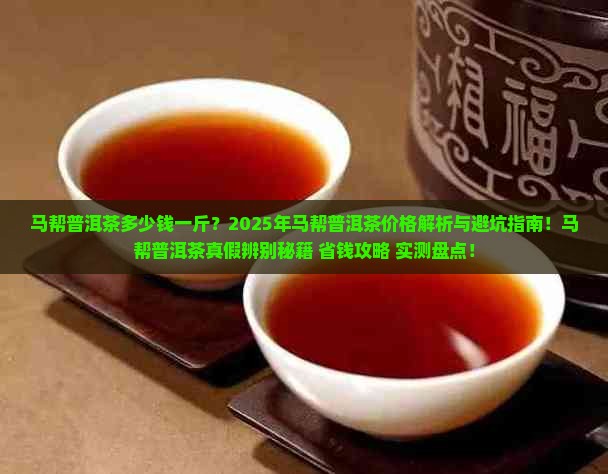 马帮普洱茶多少钱一斤
