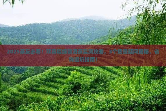 双喜福绿普洱茶