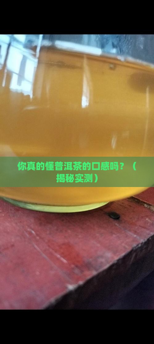 懂过普洱茶口感