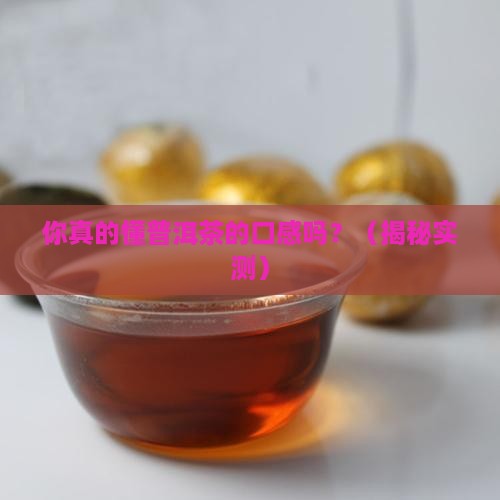 懂过普洱茶口感