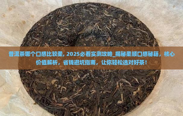 普洱茶哪个口感比较柔