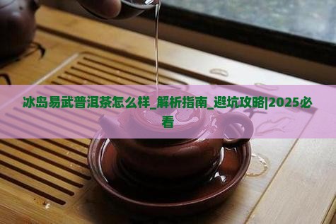 冰岛易武普洱茶怎么样