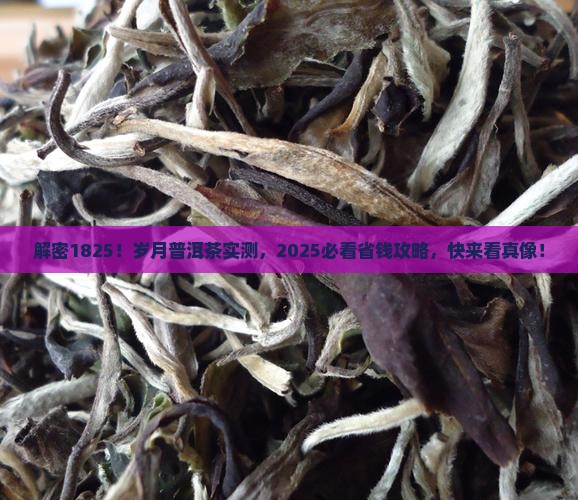 岁月普洱茶1825
