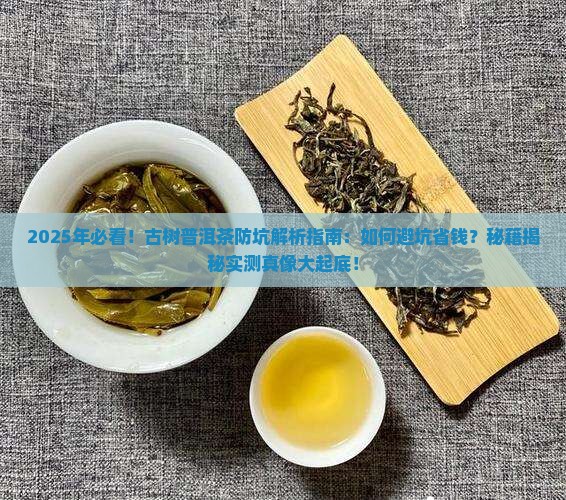 古树普洱茶防坑