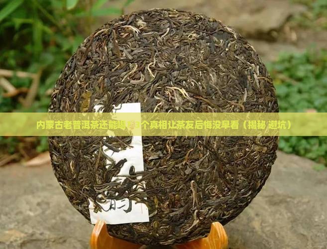 内蒙古老普洱茶