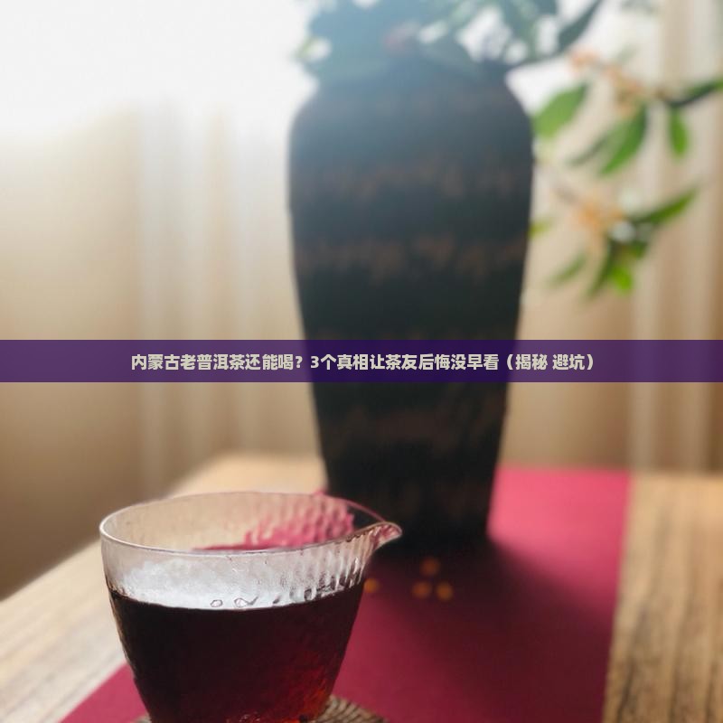 内蒙古老普洱茶