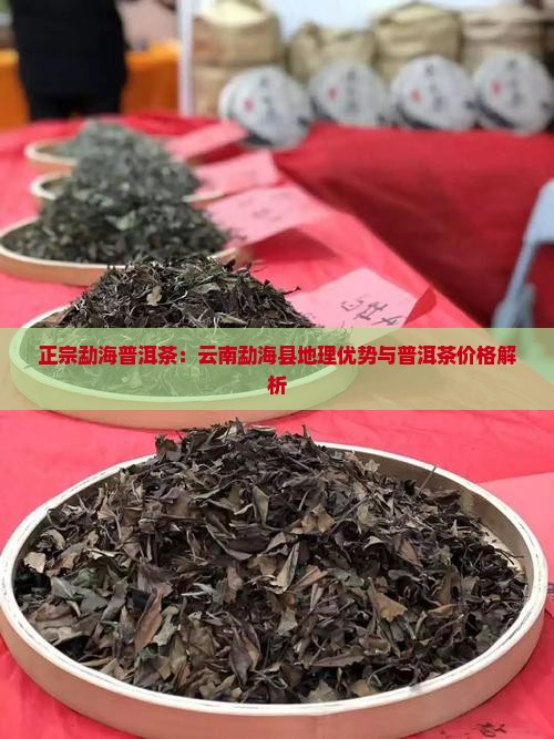 正宗猛海普洱茶