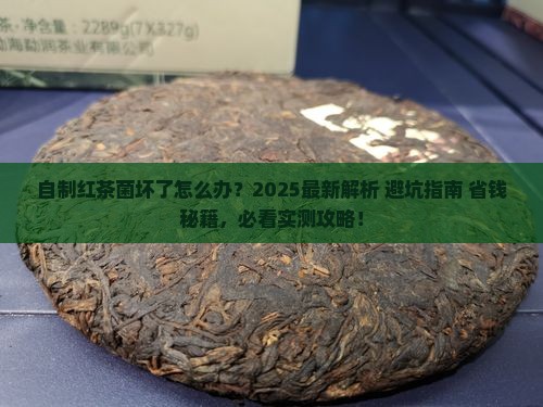 自制红茶菌坏了