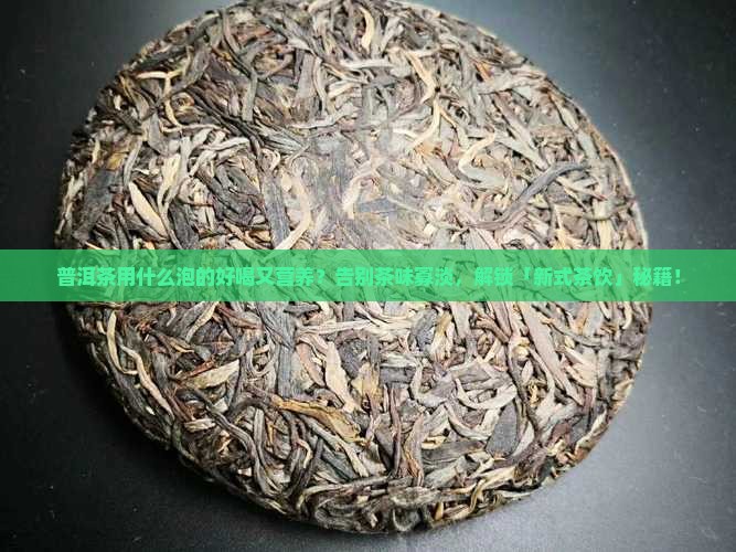 普洱茶用什么泡的好喝又营养