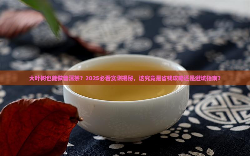 大叶树能做普洱茶吗