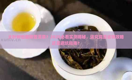 大叶树能做普洱茶吗