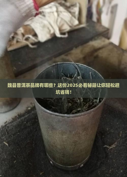 魏县普洱茶品牌有哪些