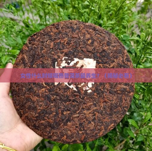 女性喝熟普洱茶的时间