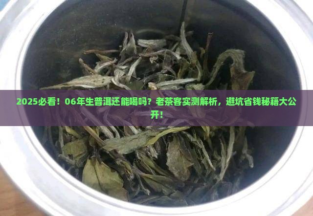 06年的普洱茶06年的生普洱