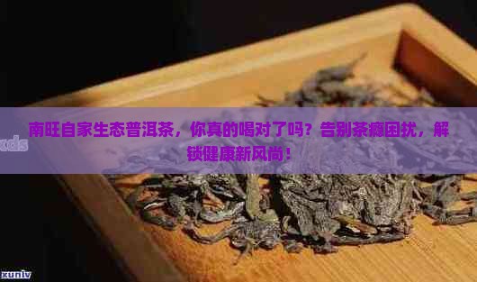 南旺自家生态普洱茶