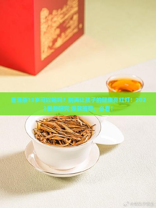普洱茶13岁可以喝吗