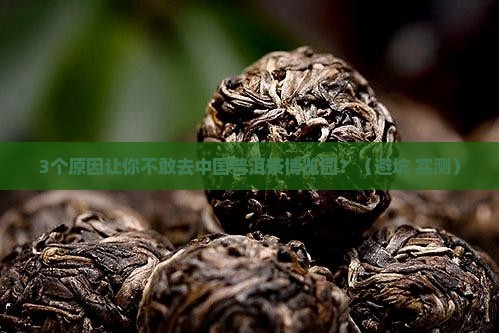 中国普洱茶博览园雷