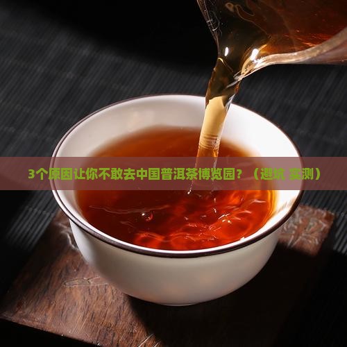 中国普洱茶博览园雷