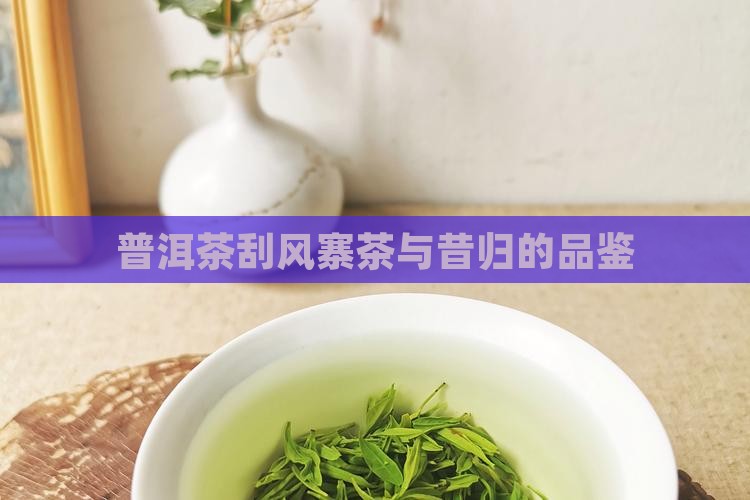 刮风寨茶和昔归