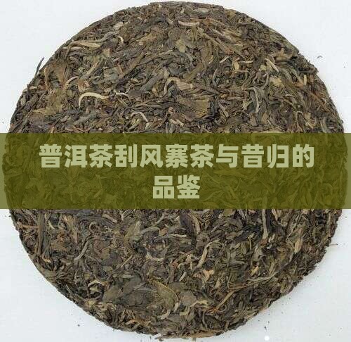刮风寨茶和昔归