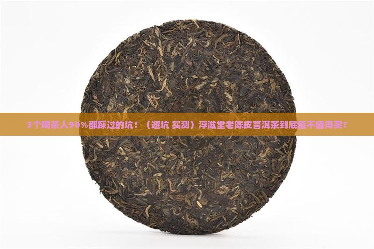 淳滋堂老陈皮普洱茶
