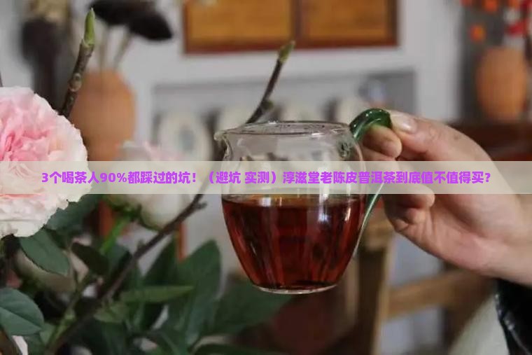 淳滋堂老陈皮普洱茶