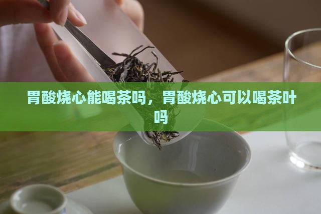 胃酸烧心能喝茶吗