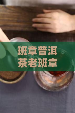 老班章王曙华普洱