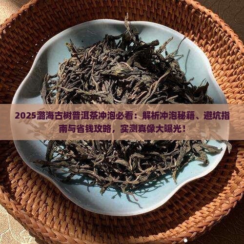 潞海古树普洱茶怎么样冲泡