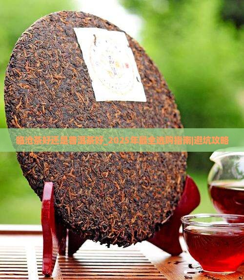 临沧茶好还是普洱茶好
