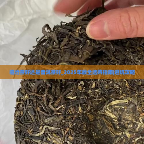 临沧茶好还是普洱茶好