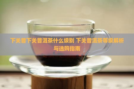 下关普下关普洱茶什么级别