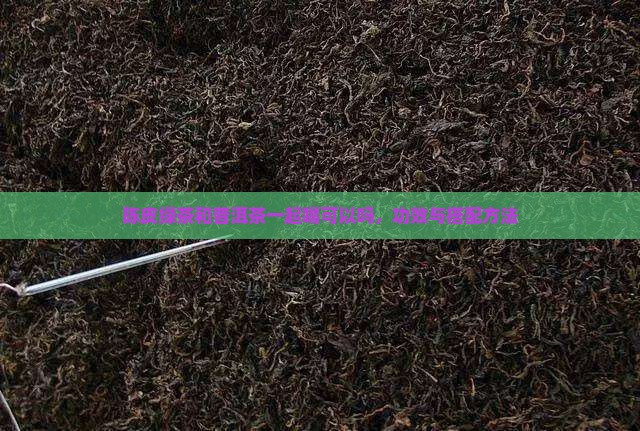 陈皮绿茶和普洱茶一起喝