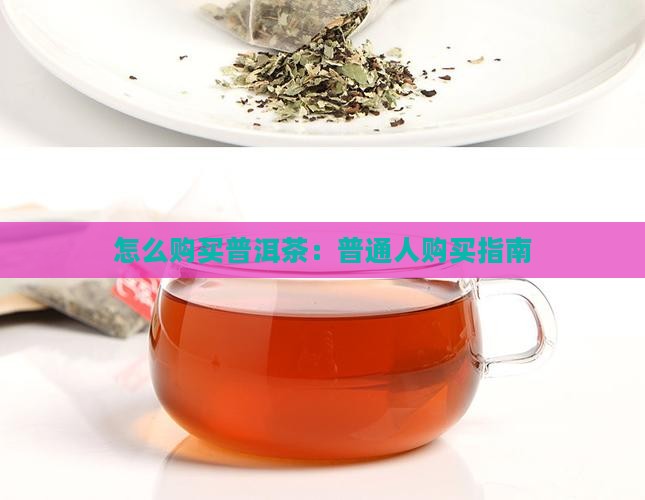 普通人如何购买藏普洱茶