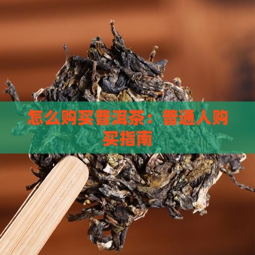 普通人如何购买藏普洱茶